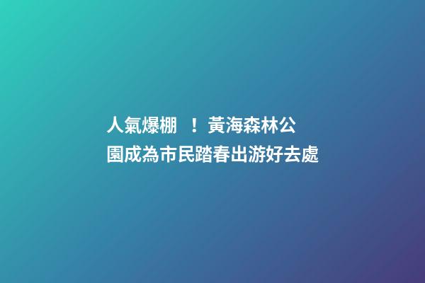 人氣爆棚！黃海森林公園成為市民踏春出游好去處